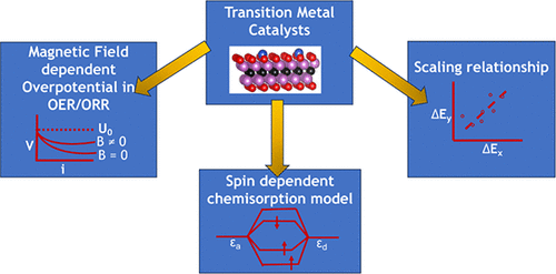 Transition Metal Catalysis